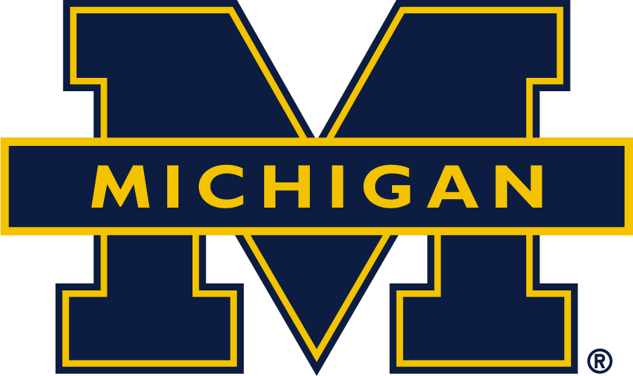 Michigan Wolverines 2016-Pres Secondary Logo v3 iron on transfers for T-shirts